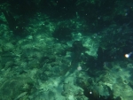 DSCF0621