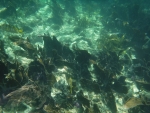 DSCF0622