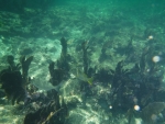DSCF0623
