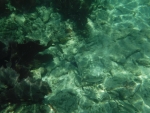DSCF0634