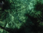 DSCF0635