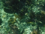 DSCF0637