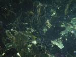 DSCF0638