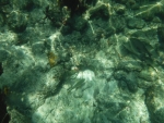 DSCF0640