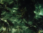 DSCF0641