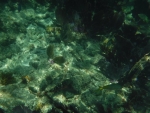 DSCF0643
