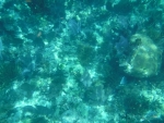 DSCF0652