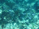 DSCF0656