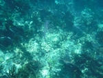 DSCF0657