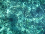 DSCF0663