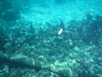 DSCF0669