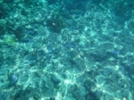 DSCF0671