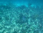 DSCF0672