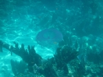 DSCF0673
