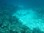 DSCF0674