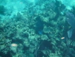 DSCF0678
