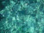 DSCF0679