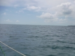 DSCF0687
