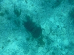 DSCF0688