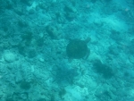 DSCF0689
