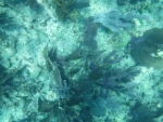 DSCF0692