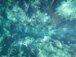 DSCF0693