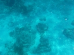 DSCF0699