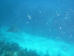 DSCF0701