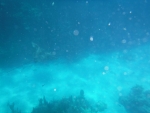 DSCF0702