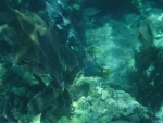 DSCF0703