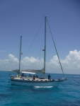 DSCF0707