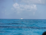 DSCF0712