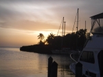 DSCF0727