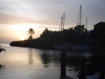 DSCF0729