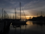 DSCF0732