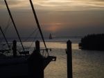 DSCF0737