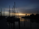 DSCF0740