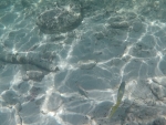 DCIM\100GOPRO\GOPR0209.JPG