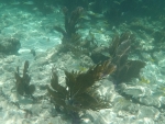 DCIM\100GOPRO\GOPR0210.JPG