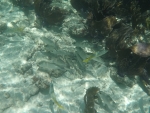 DCIM\100GOPRO\GOPR0211.JPG