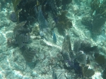 DCIM\100GOPRO\GOPR0213.JPG