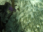 DCIM\100GOPRO\GOPR0214.JPG