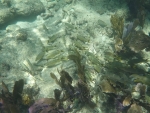 DCIM\100GOPRO\GOPR0215.JPG