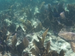 DCIM\100GOPRO\GOPR0216.JPG