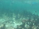 DCIM\100GOPRO\GOPR0217.JPG