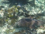 DCIM\100GOPRO\GOPR0220.JPG