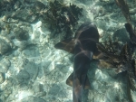 DCIM\100GOPRO\GOPR0221.JPG