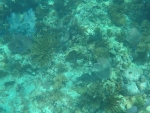 DCIM\100GOPRO\GOPR0224.JPG