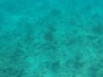 DCIM\100GOPRO\GOPR0232.JPG