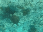DCIM\100GOPRO\GOPR0233.JPG